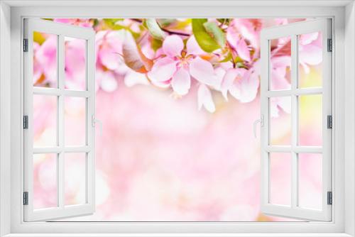 Fototapeta Naklejka Na Ścianę Okno 3D - Blooming apple tree