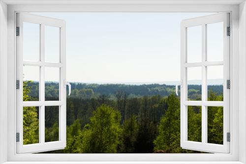 Fototapeta Naklejka Na Ścianę Okno 3D - Hazy forest view