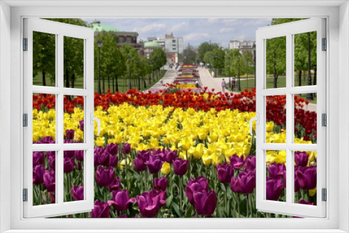 Fototapeta Naklejka Na Ścianę Okno 3D - Beautiful Tulips flower in park.