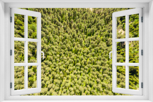 Fototapeta Naklejka Na Ścianę Okno 3D - drone image. aerial view of rural area with forest and swamp lake