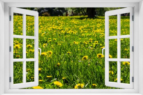 Fototapeta Naklejka Na Ścianę Okno 3D - Beautiful landscape with dandelions on the meadow