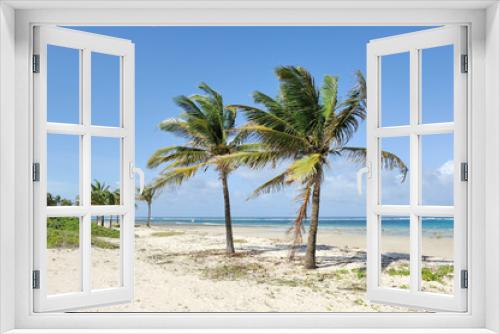 Fototapeta Naklejka Na Ścianę Okno 3D - Palm trees at the beach