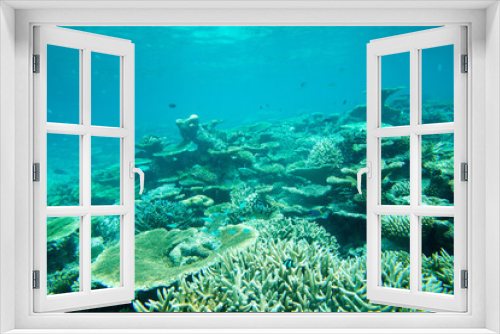 Fototapeta Naklejka Na Ścianę Okno 3D - Underwater world landscape