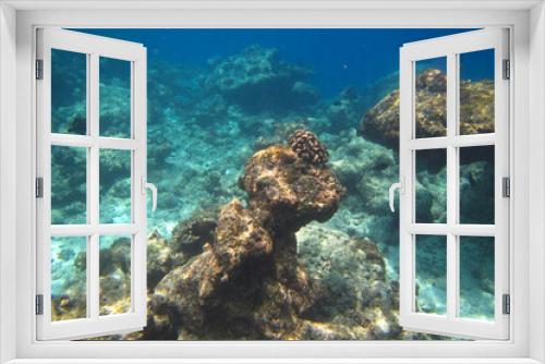 Fototapeta Naklejka Na Ścianę Okno 3D - Underwater reef with fishes and corals on Ukulhas, Maldives