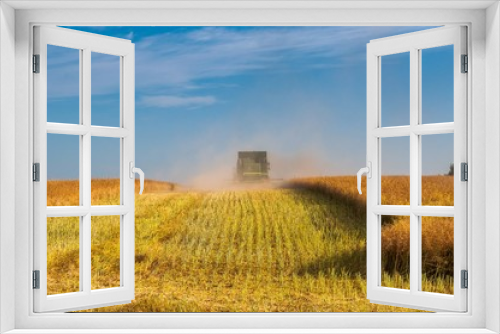 Fototapeta Naklejka Na Ścianę Okno 3D - Back view of modern combine harvester in the wheat field during harvesting. Agriculture and Farming Collection
