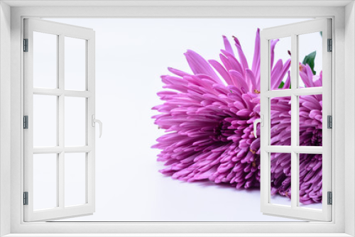 Fototapeta Naklejka Na Ścianę Okno 3D - Light purple flower with unique petals