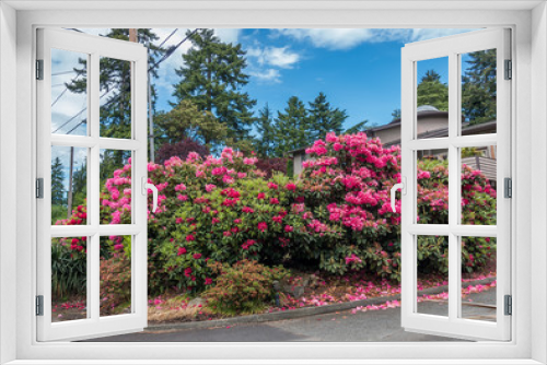Fototapeta Naklejka Na Ścianę Okno 3D - Neighborhood Flowers 2