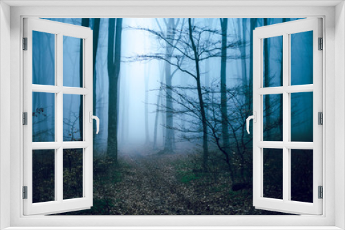 Fototapeta Naklejka Na Ścianę Okno 3D - Blue fog in spooky forest