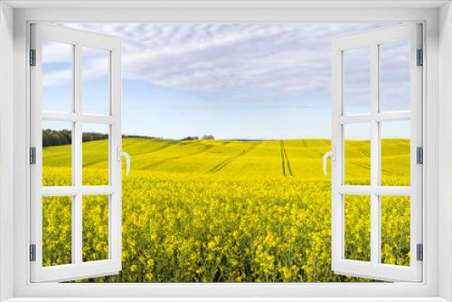 Fototapeta Naklejka Na Ścianę Okno 3D - Panorama of spring, green field