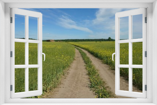 Fototapeta Naklejka Na Ścianę Okno 3D - Green and blue in nature. Landscape with path