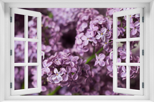 Fototapeta Naklejka Na Ścianę Okno 3D - Flowering branches of lilac