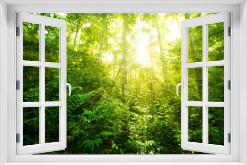 Fototapeta Naklejka Na Ścianę Okno 3D - Fantastic tropical jungle