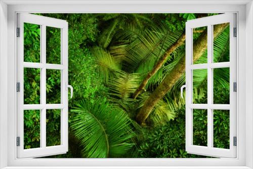 Fototapeta Naklejka Na Ścianę Okno 3D - Tropical dense forest from top
