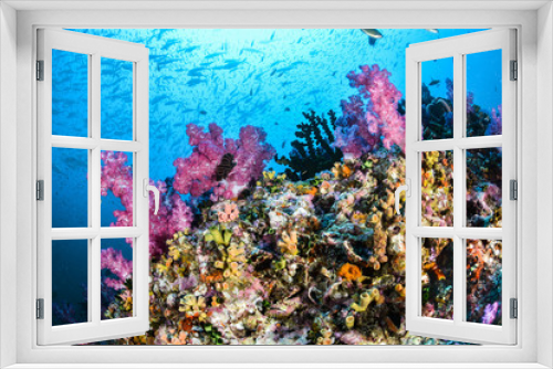 Fototapeta Naklejka Na Ścianę Okno 3D - Colorful coral reef