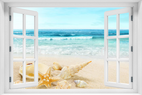 Fototapeta Naklejka Na Ścianę Okno 3D - Shells on sandy beach.
