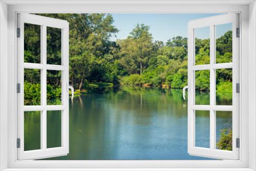 Fototapeta Naklejka Na Ścianę Okno 3D - Ibirapuera Park, Sao Paulo, Brazil - Beautiful pond inside the park.