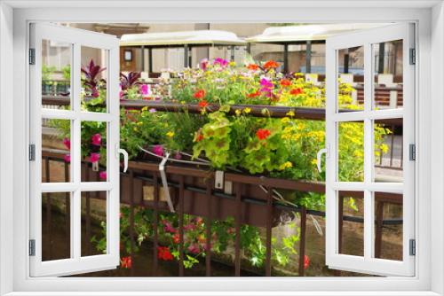 Fototapeta Naklejka Na Ścianę Okno 3D - Plantes et fleurs