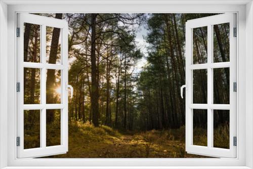 Fototapeta Naklejka Na Ścianę Okno 3D - Wälder