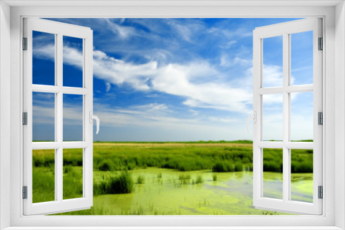 Fototapeta Naklejka Na Ścianę Okno 3D - Green Bayou
