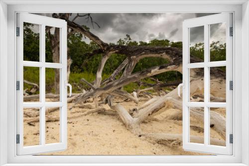 Fototapeta Naklejka Na Ścianę Okno 3D - Les plages suite au passage d'un cyclone