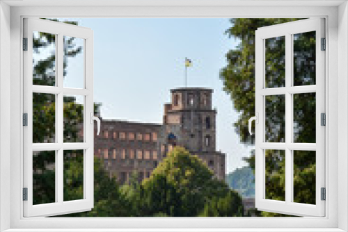 The old castle of Heidelberg with a park