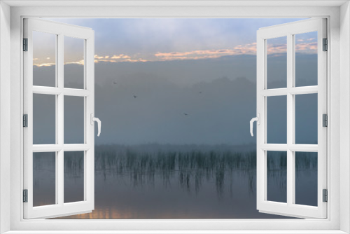 Fototapeta Naklejka Na Ścianę Okno 3D - Ptaki we mgle 