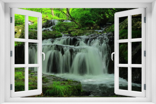 Fototapeta Naklejka Na Ścianę Okno 3D - 夏の小黒滝