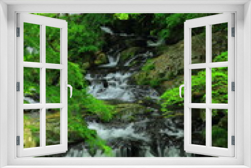 Fototapeta Naklejka Na Ścianę Okno 3D - 夏の小黒滝