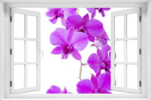 Fototapeta Naklejka Na Ścianę Okno 3D - Purple Orchid Bouquet , Isolated on white