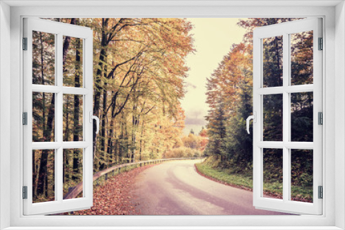 Fototapeta Naklejka Na Ścianę Okno 3D - Vintage Road Through Autumn Forest