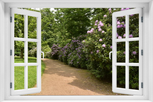 Fototapeta Naklejka Na Ścianę Okno 3D - Chemin le long des arbustes de fleurs au domaine de Mariemont à Morlanwelz 