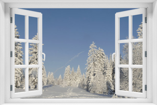Fototapeta Naklejka Na Ścianę Okno 3D - Winterwald