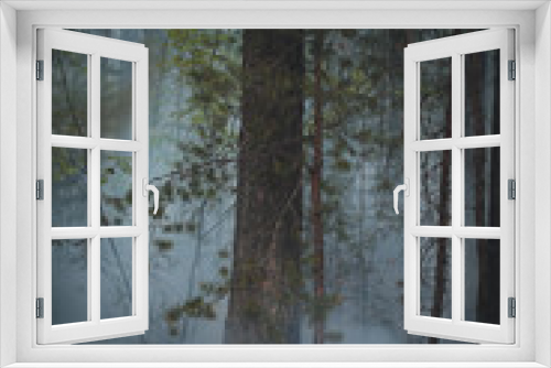 Fototapeta Naklejka Na Ścianę Okno 3D - Fire in forest, textures