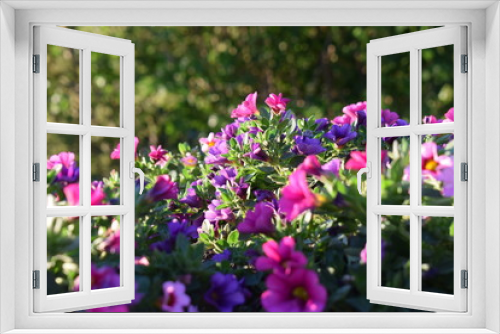 Fototapeta Naklejka Na Ścianę Okno 3D - Schöne Blumen