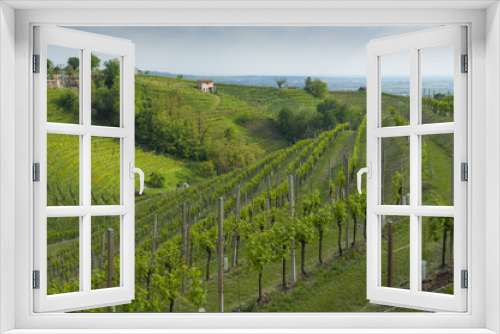 Fototapeta Naklejka Na Ścianę Okno 3D - View of Prosecco vineyards from Valdobbiadene, Italy during spring