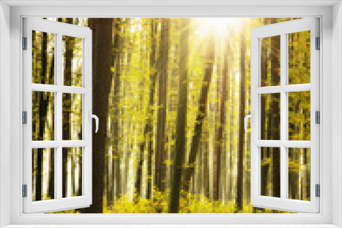 Fototapeta Naklejka Na Ścianę Okno 3D - Beautiful golden autumn landscape