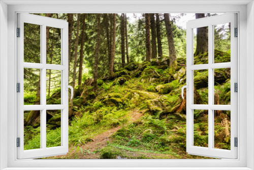 Fototapeta Naklejka Na Ścianę Okno 3D - Malerischer Wald