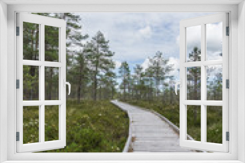 Fototapeta Naklejka Na Ścianę Okno 3D - Wide wooden walkway on Riisa bog in Estonia going to the a small coniferous forest of pines in summer sunny day with blue sky and big clouds