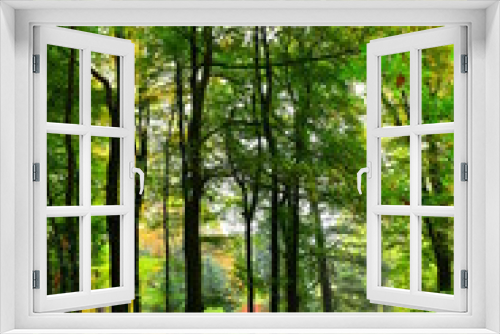 Fototapeta Naklejka Na Ścianę Okno 3D - Forest green III