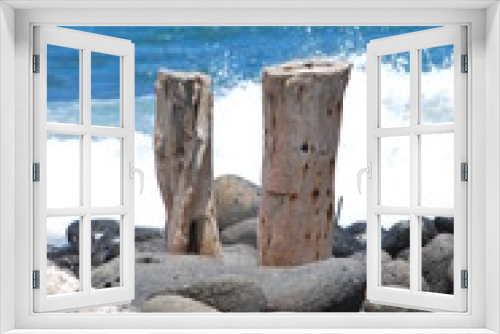 Fototapeta Naklejka Na Ścianę Okno 3D - 2 Baumstrumpf am Strand Maui