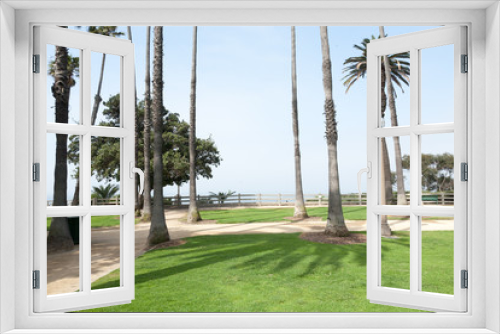 Fototapeta Naklejka Na Ścianę Okno 3D - Palm tree lined seaside park