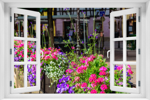 Fototapeta Naklejka Na Ścianę Okno 3D - Close up of colorful flowers in Colmar, Alsace, France