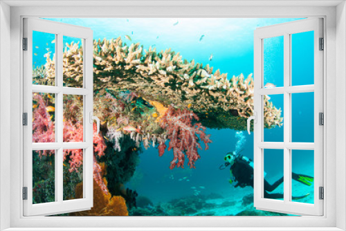 Fototapeta Naklejka Na Ścianę Okno 3D - Wonderful and beautiful underwater world with corals, fish and sunlight