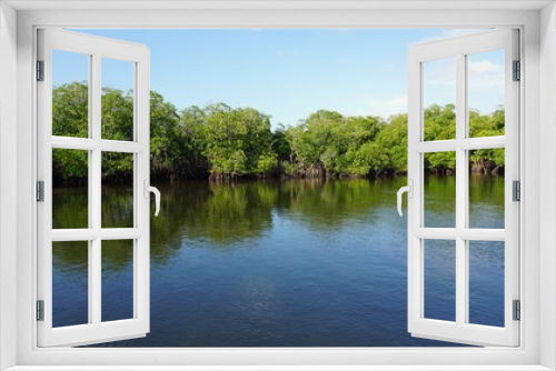 Fototapeta Naklejka Na Ścianę Okno 3D - mangroves at punta rusia