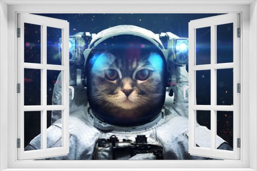 Fototapeta Naklejka Na Ścianę Okno 3D - Science fiction space wallpaper with cat astronaut, incredibly beautiful planets, galaxies, dark and cold beauty of endless universe. Elements of this image furnished by NASA