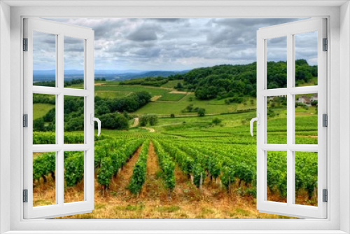 Fototapeta Naklejka Na Ścianę Okno 3D - Vignoble de Givry en Bourgogne.