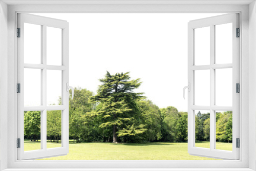 Fototapeta Naklejka Na Ścianę Okno 3D - High definition Treeline isolated on a white background