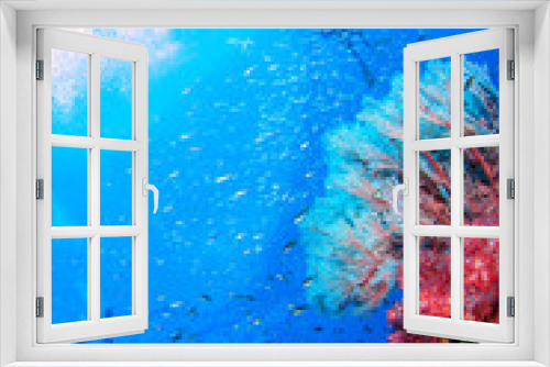 Fototapeta Naklejka Na Ścianę Okno 3D - Similan,North Andaman Sea