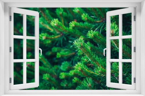 Fototapeta Naklejka Na Ścianę Okno 3D - Fir tree brunch close up. Shallow focus. Fluffy fir tree brunch close up. Christmas wallpaper concept. Copy space.