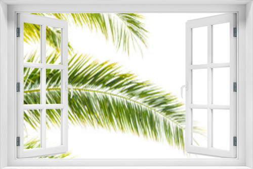 Fototapeta Naklejka Na Ścianę Okno 3D - Palm Tree Leafs on Bright Sky Background. Summer Vacation Concept.